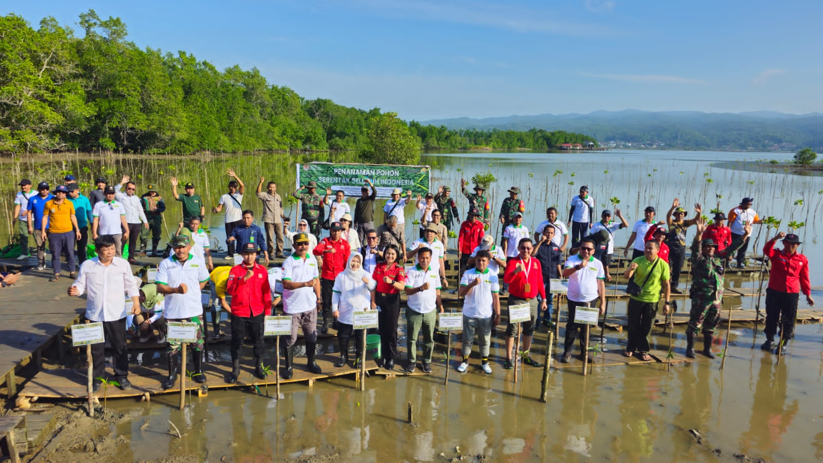 Video KLHK Gelar Aksi Tanam Mangrove Serentak Se Indonesia Penasultra Id