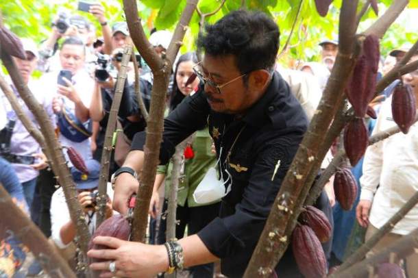 Syahrul Yasin Limpo sedang memetik salah satu buah kakao. Foto: Humas Kementan/Agro Milenial