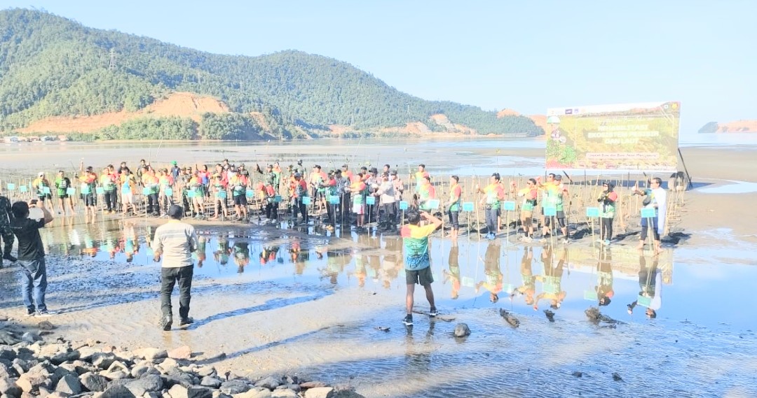 PT Ceria meriahkan HUT RI dengan penanaman mangrove. Foto: Ist