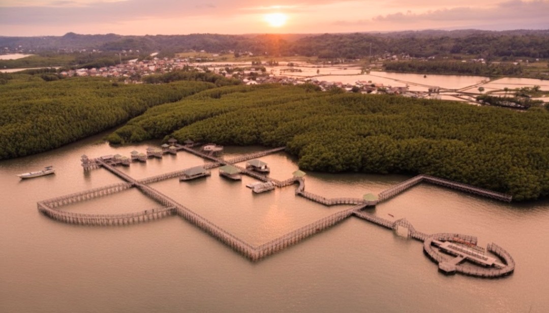 Hutan Bakau Tongke-tongke menjaga pesisir Sinjai. Foto: Nafsul