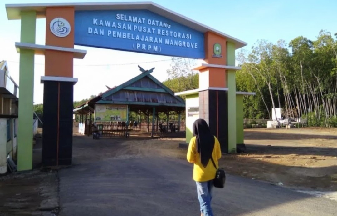 Hutan Bakau Tongke-tongke menjaga pesisir Sinjai. Foto: Nafsul