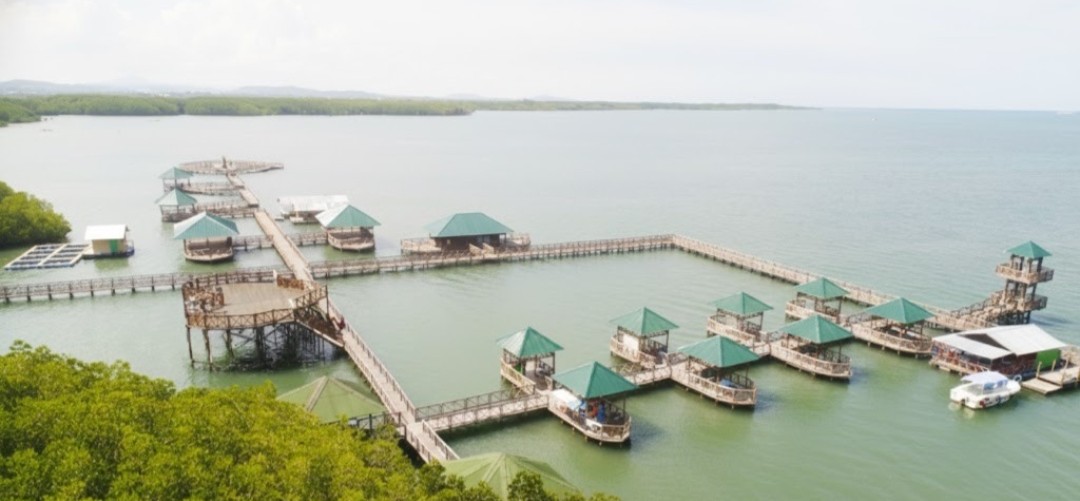 Hutan Bakau Tongke-tongke menjaga pesisir Sinjai. Foto: Nafsul