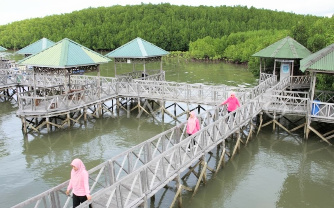 Hutan Bakau Tongke-tongke menjaga pesisir Sinjai. Foto: Nafsul